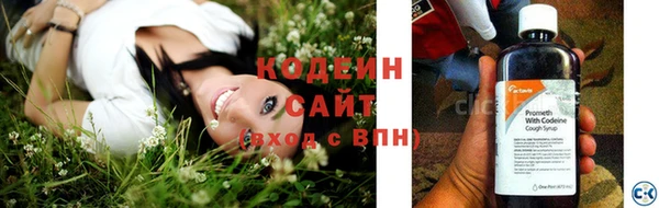 прущие крисы Инта