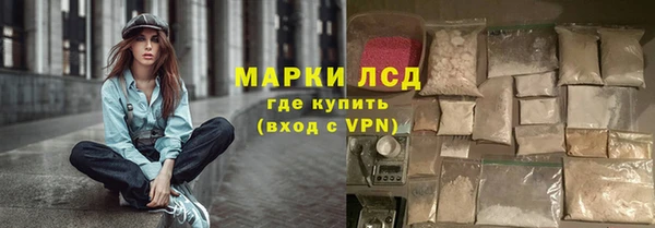 стафф Иннополис