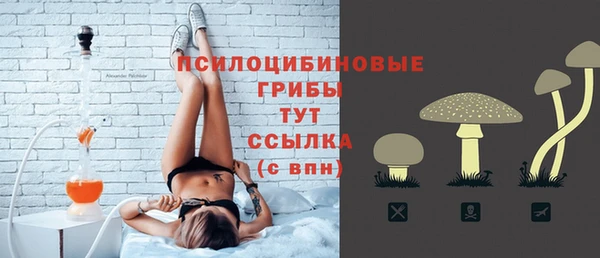 прущие крисы Инта
