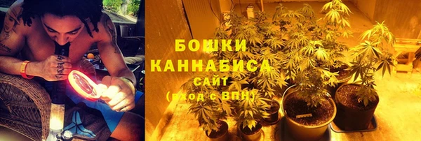 прущие крисы Инта