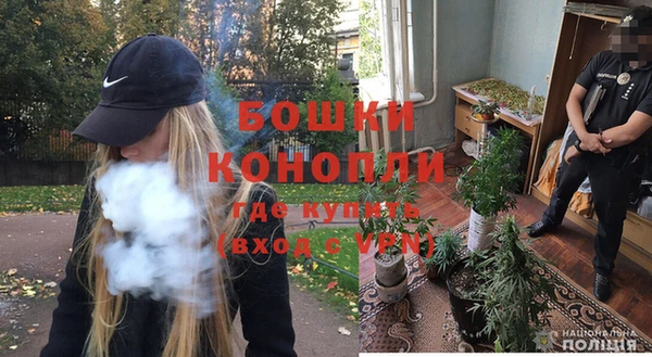 крисы Шали