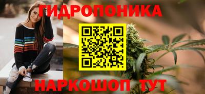 сатива Кулебаки