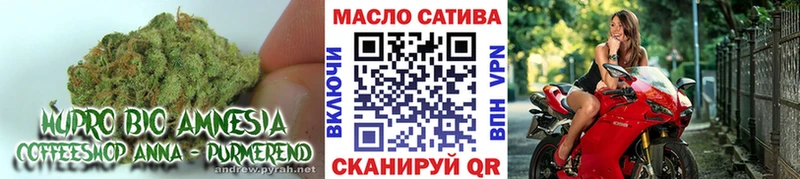 ТГК концентрат  маркетплейс телеграм  Снежинск  закладки 