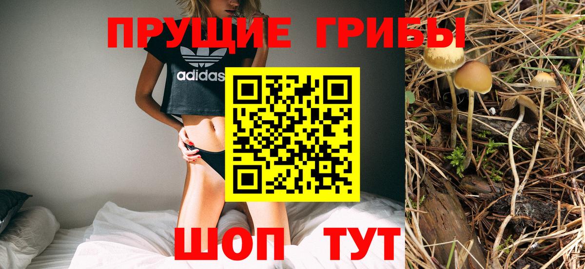 Псилоцибиновые грибы мицелий  Вход с VPN  Снежинск 
